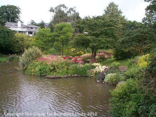 Marwood - view of Astilbe beds